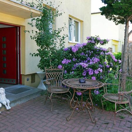Cozy Souterrain-Half-Basement-Apartment Included 2 Bicycles Berlin Exteriör bild